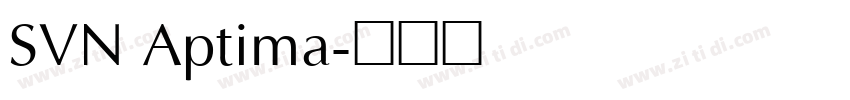 SVN Aptima字体转换